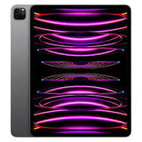 Apple Ipad Pro 11" M4 CHIP 256GB