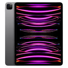 Apple Ipad Pro 11" M4 CHIP 256GB